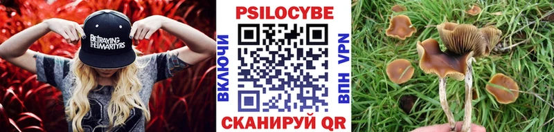 Галлюциногенные грибы мухоморы  наркотики  Отрадная 